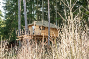 Treehouse U rybníka, Osecna